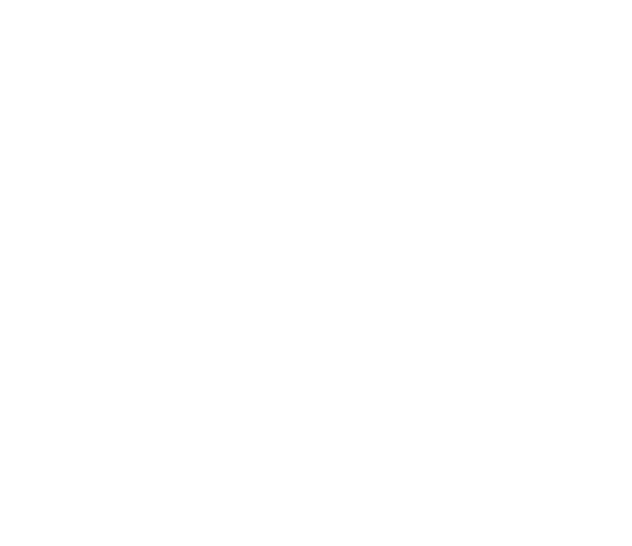 Logo Fábio Rasi
